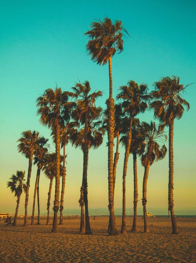 Staycations Around Southern California That Are Perfect for Labor Day Weekend